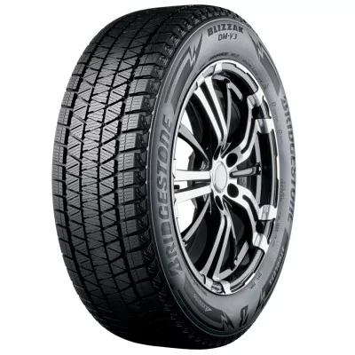 Zimné pneumatiky Bridgestone DM-V3 255/45 R20 101T